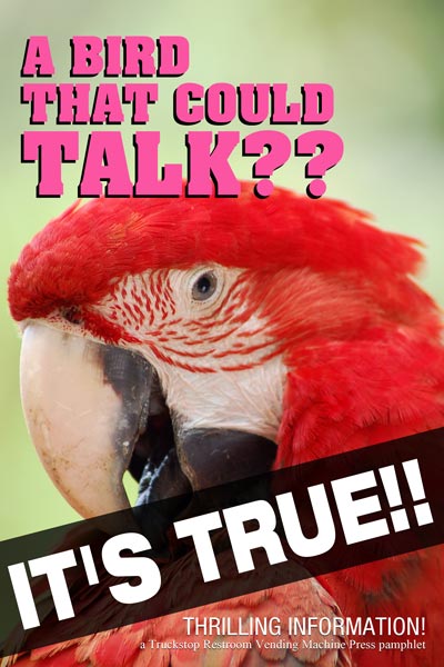 A Bird That Could Talk?? IT'S TRUE!!